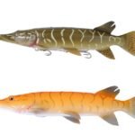 Sg 3D Line Thru Pike 20 cm 66 gr Sahte Balık