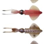 Savage gear Swim Squid 18cm 32g 2 Adet Sahte Balık