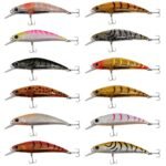 Kendo Shrimp Minnow 50S 4.5gr Sahte Balık